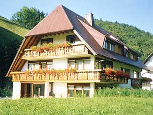 Ferienwohnung Haus Ebner M&uuml;nstertal Schwarzwald im Sommer