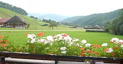 Ferienwohnung Münstertal Schwarzwald Unterkunft im Haus Ebner mit Pool Hallenbad Schwimmbad