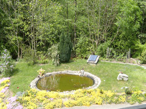 Garten mit Teich